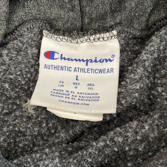 University of Florida Gators Hoodie size Large champion - Picture 3 of 4